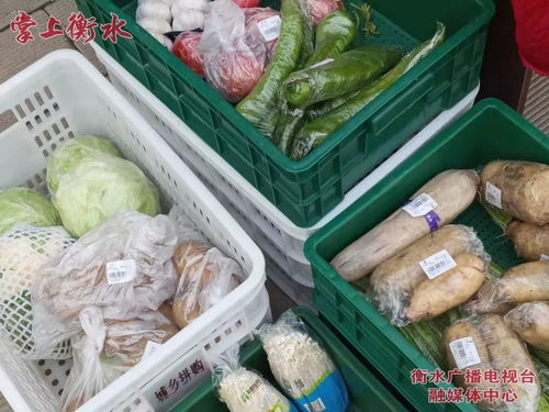 美丽河北 e起过年——故城品牌农产品进社区，称心年货送上门
